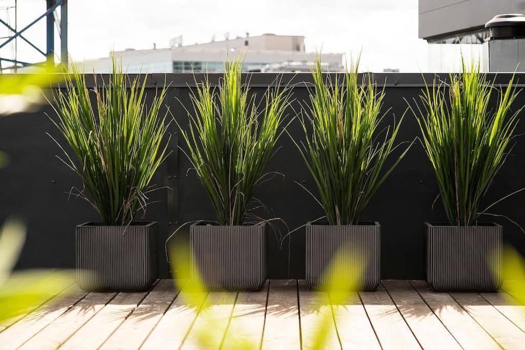 W Apartments Uus-Hollandi With Sauna タリン エクステリア 写真